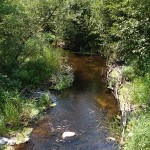 Little Plover River