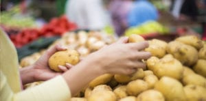 Retail Potatoes