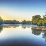 LittlePloverRiver1