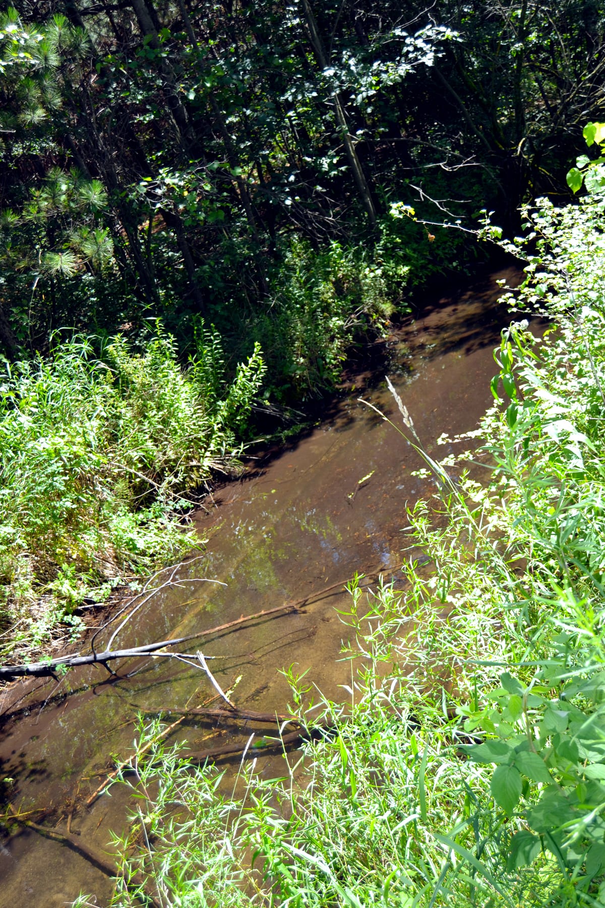 Little Plover River Wisconsin Potatoes