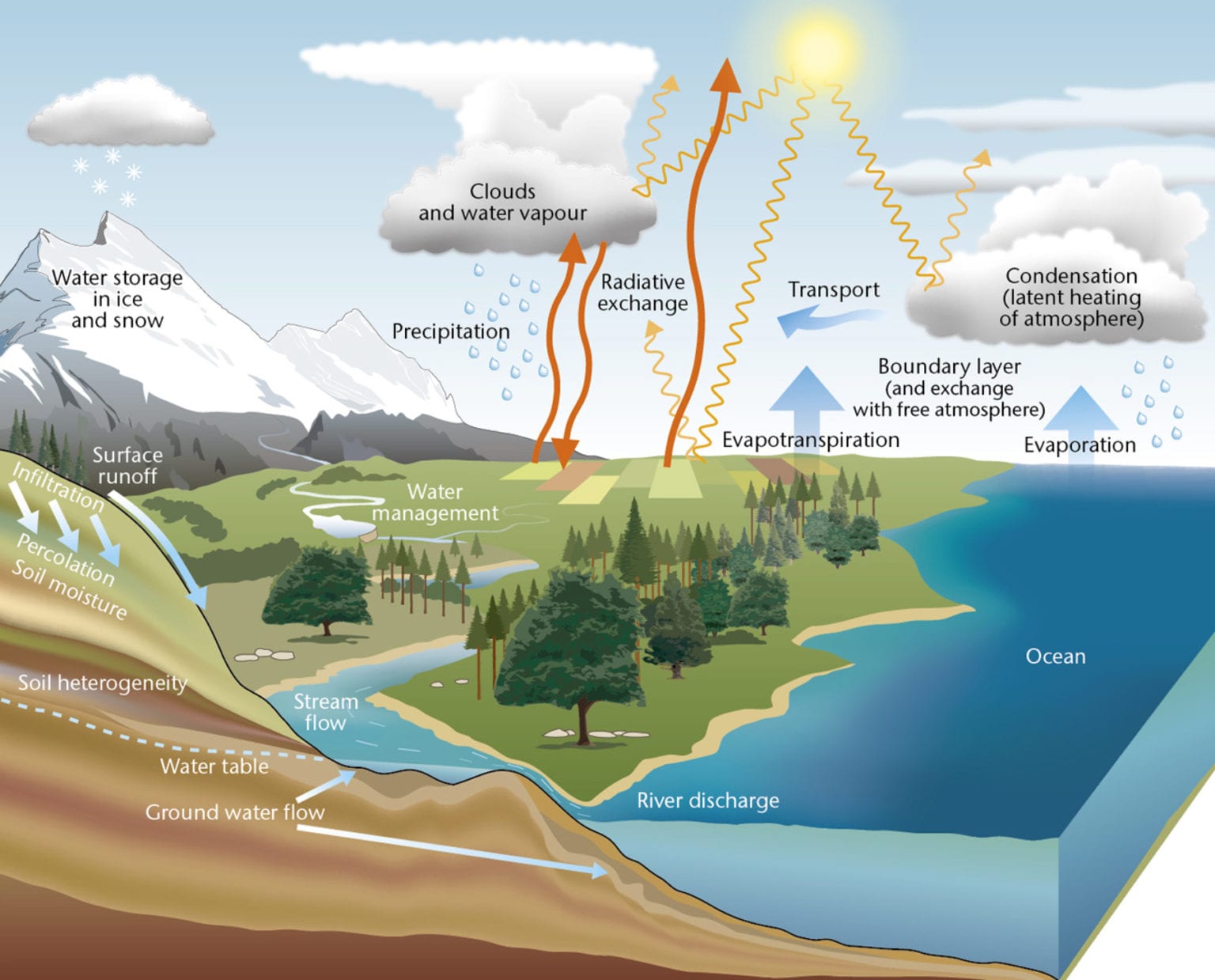 Hydrologic Cycle English Meaning