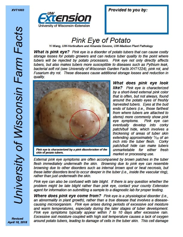 Pink Eye of Potato Wisconsin Potatoes