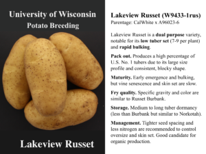Lakeview Russet