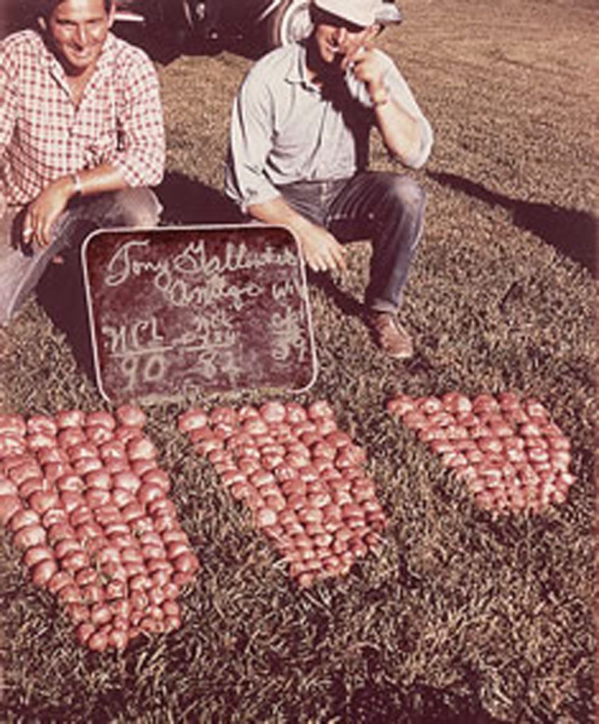 Interview with Roy Gallenberg Wisconsin Potatoes