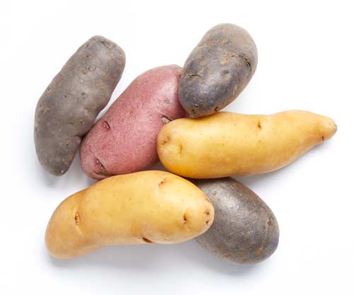 Raw fingerling potatoes