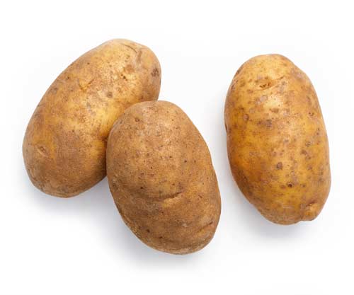 Raw russet potatoes